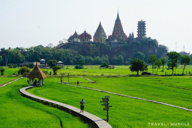 มีนาคาเฟ่