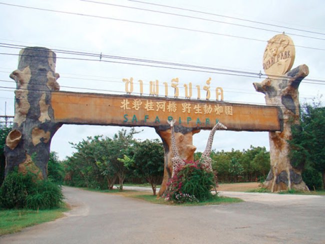 สวนสัตว์เปิด ซาฟารี ปาร์ค แอนด์ แคมป์