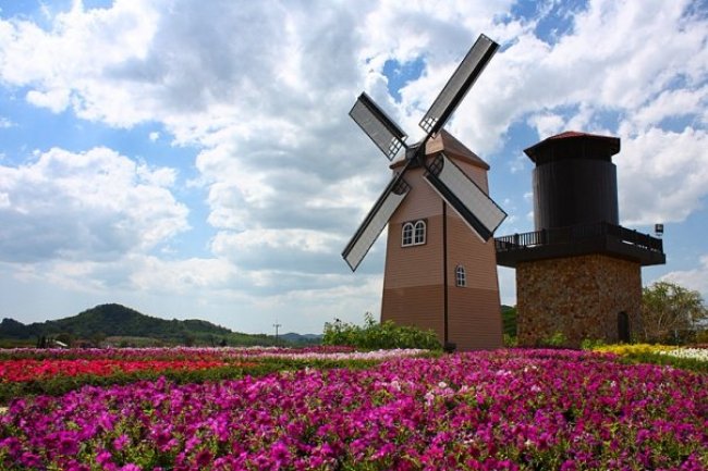 ไร่องุ่นซิลเวอร์เลค Silverlake