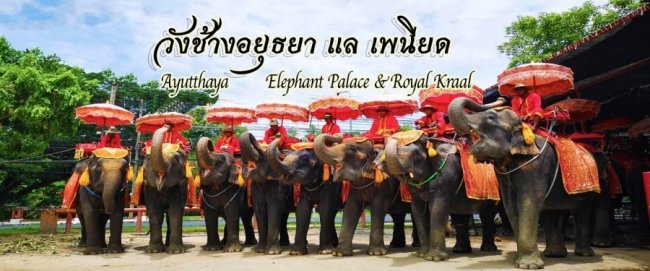 วังช้างอยุธยา แล เพนียด